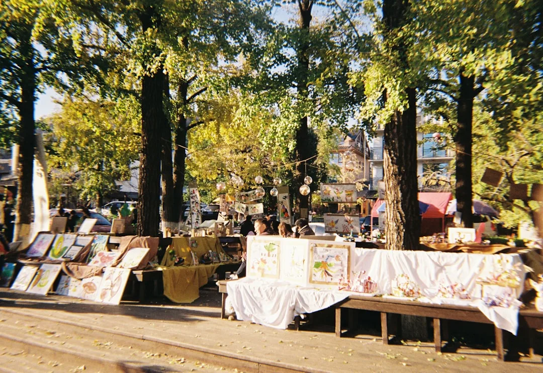 Flohmarkt Diespeck BayWa-Parkplatz