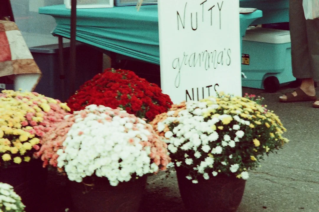 Flohmarkt Möbel Jessen Breklum