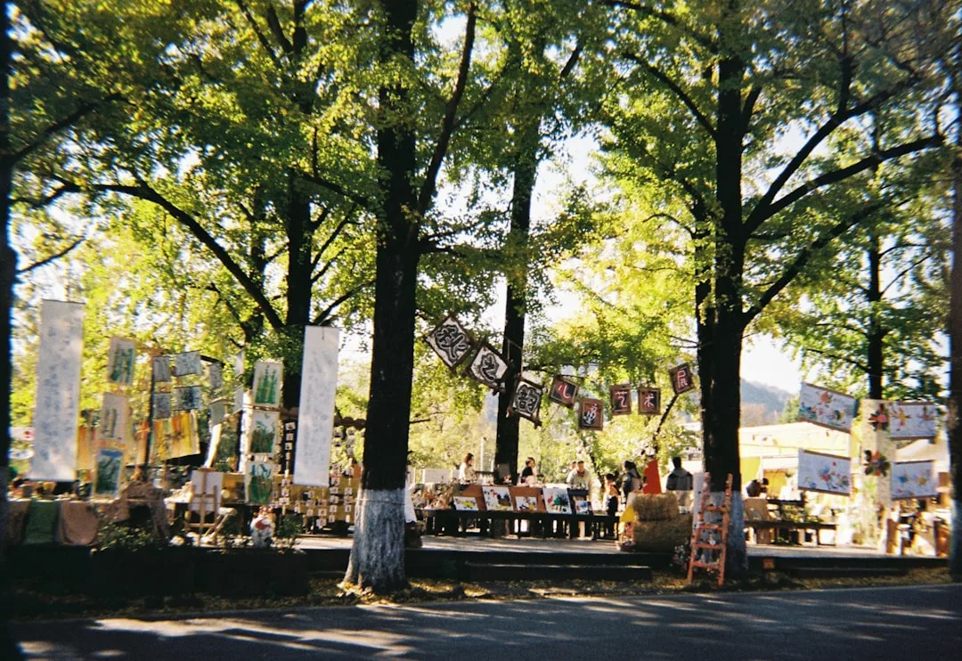 Flohmarkt für Jedermann in Itzehoe-Wellenkamp (REWE)