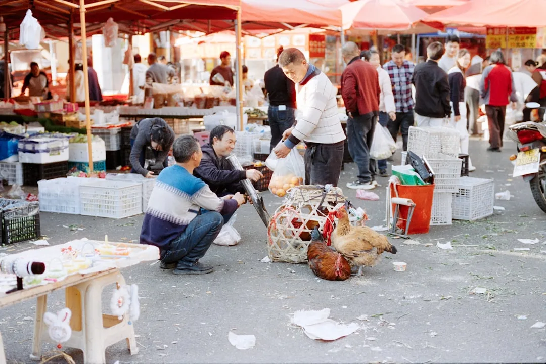 Flohmarkt 23911 Schmilau bei Ratzeburg