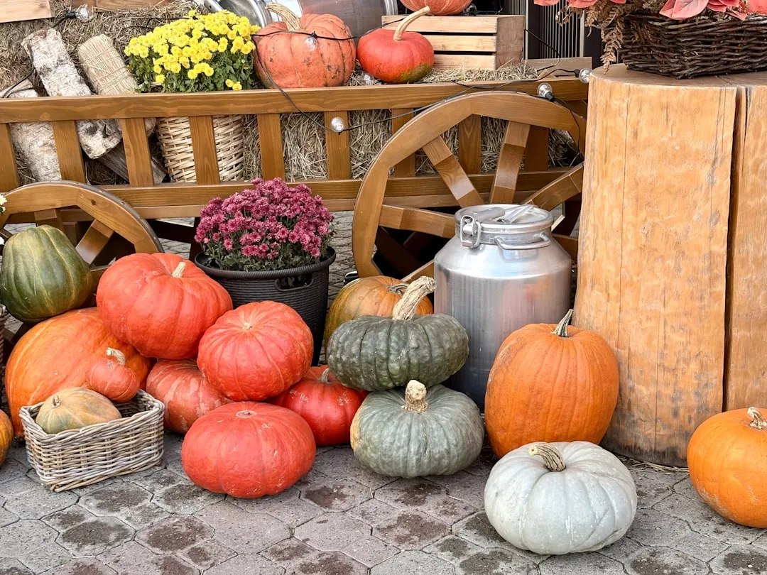 Flohmarkt Festplatz Erding