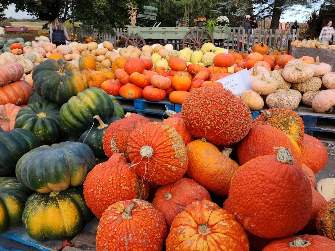 Riesenflohmarkt in Kornwestheim
