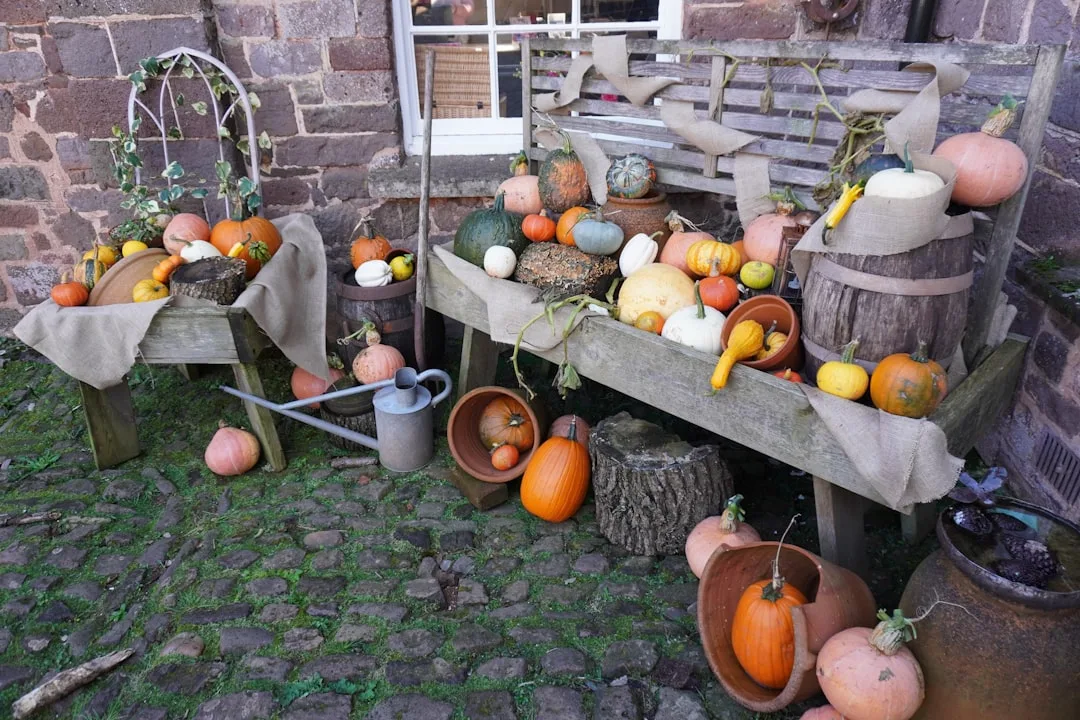 Flohmarkt Kiel Wik - famila Markt