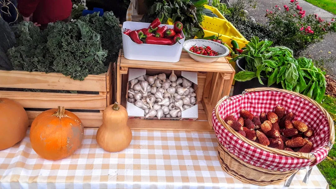 Trödelmarkt Reinbek - famila
