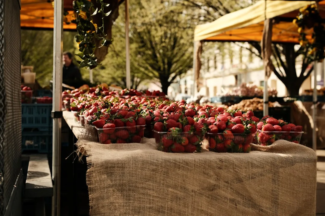 Flohmarkt in Neuhaus a.Inn Volksfestplatz